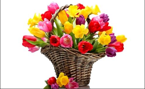 8 Марта - значение цветов в букете - значение цветов в букете
